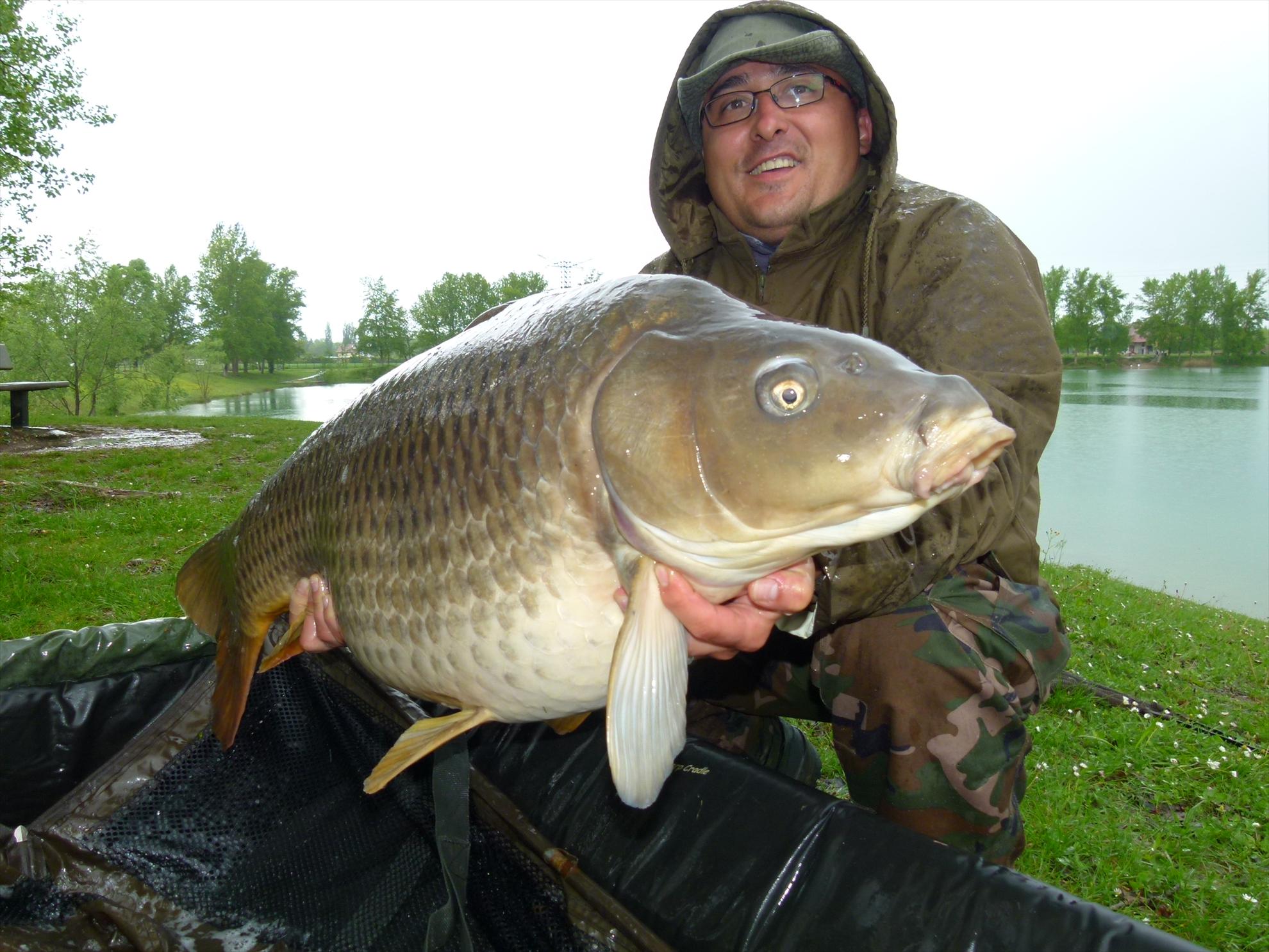 THE BIGS OF 2012 - p1000043.JPG